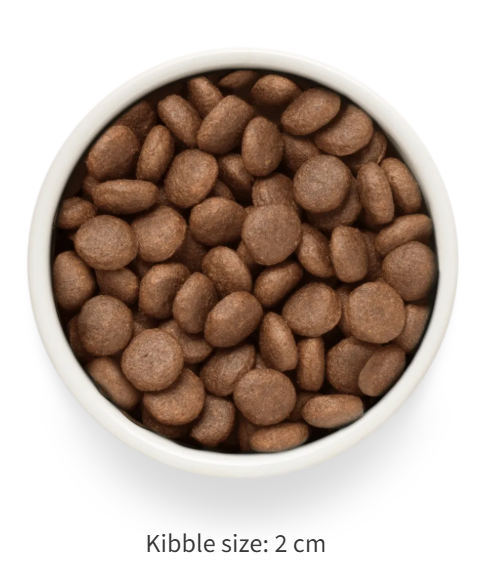 grandorf fresh salmon adult maxi kibble