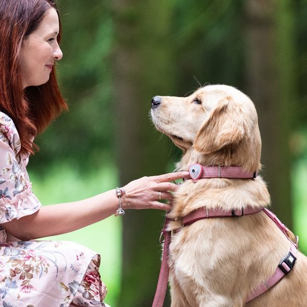 Max & Molly Soundshield Ultrasonic Technology Against Ticks & Fleas
